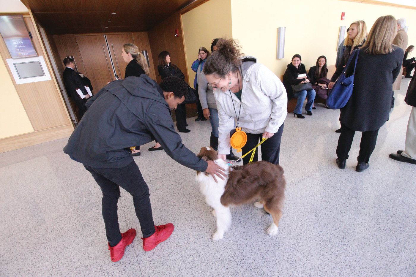 CENTER OF ATTRACTION: Curry and his master, Judy Van-Wyk, were an instant hit at Kent County Family Court on Thursday.